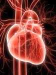 Convegno su cardiologia riabilitativa